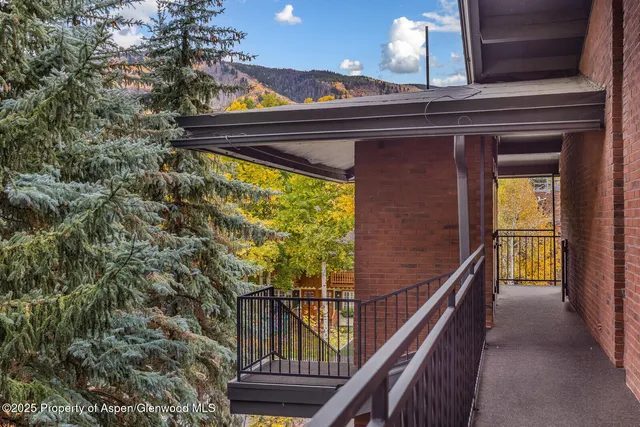 $20,000 | 731 South Mill Street, Unit 3A, Aspen, CO 81611