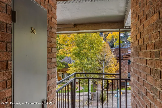 $20,000 | 731 South Mill Street, Unit 3A, Aspen, CO 81611