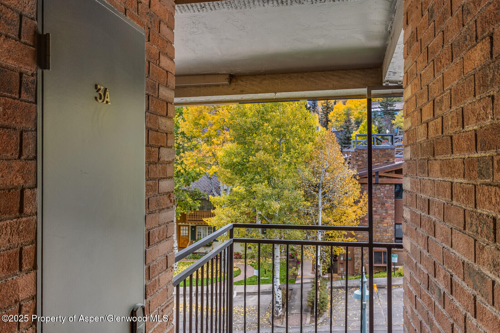 731 South Mill Street, Unit 3A Aspen, CO 81611 - Photo 39 of 49 08_731_Mill_Street_3A008_mls