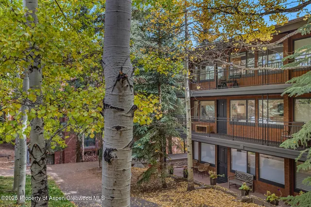 $20,000 | 731 South Mill Street, Unit 3A, Aspen, CO 81611