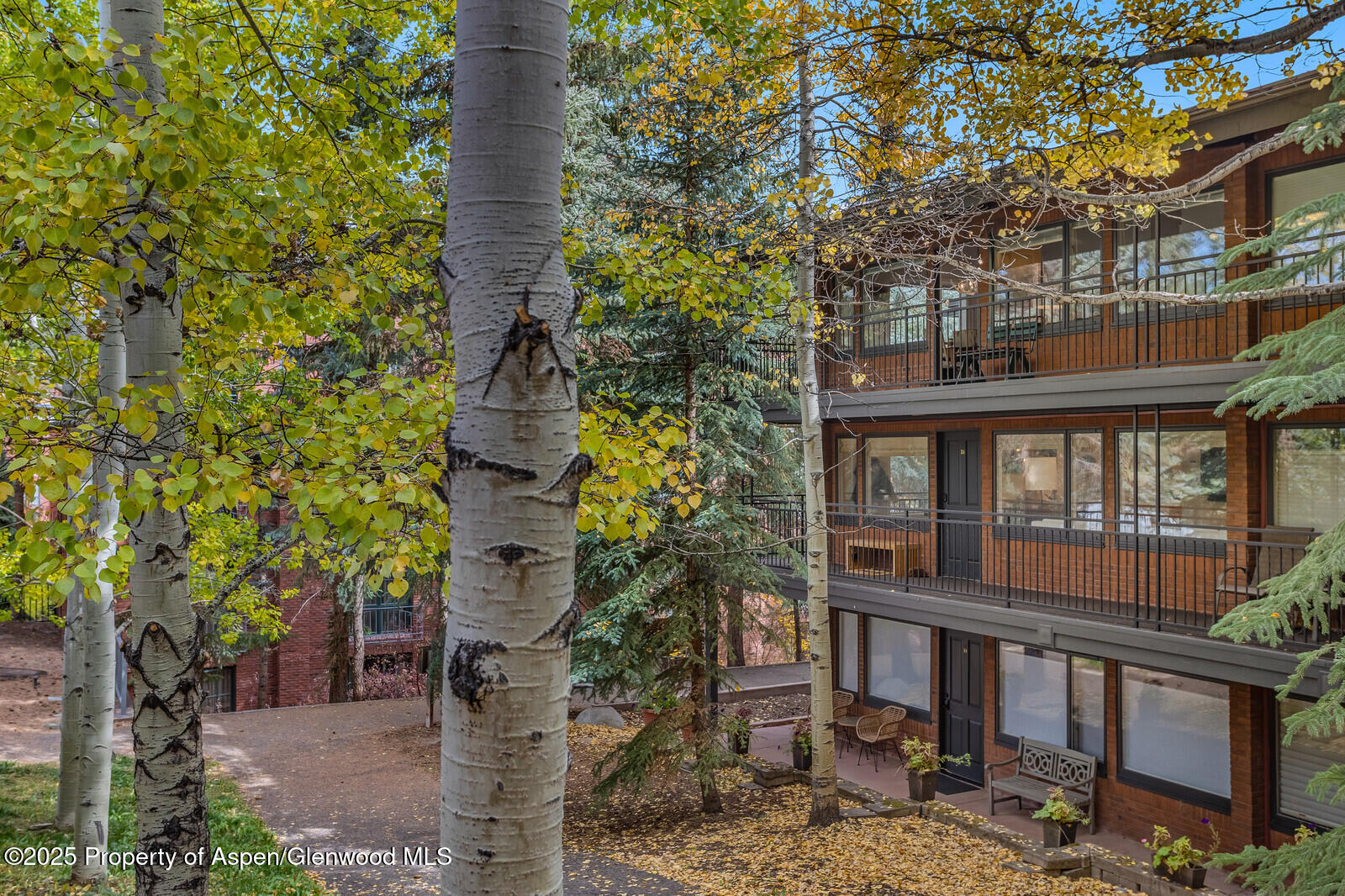 731 South Mill Street, Unit 3A Aspen, CO 81611 - Photo 40 of 49 46_731_Mill_Street_3A046_mls