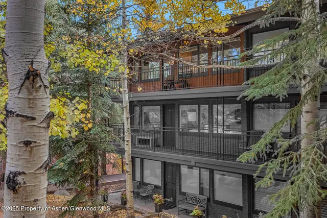 $20,000 | 731 South Mill Street, Unit 3A, Aspen, CO 81611