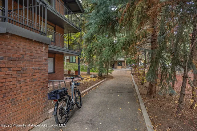 $20,000 | 731 South Mill Street, Unit 3A, Aspen, CO 81611
