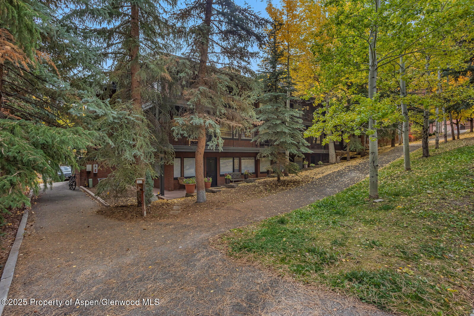 731 South Mill Street, Unit 3A Aspen, CO 81611 - Photo 44 of 49 44_731_Mill_Street_3A044_mls