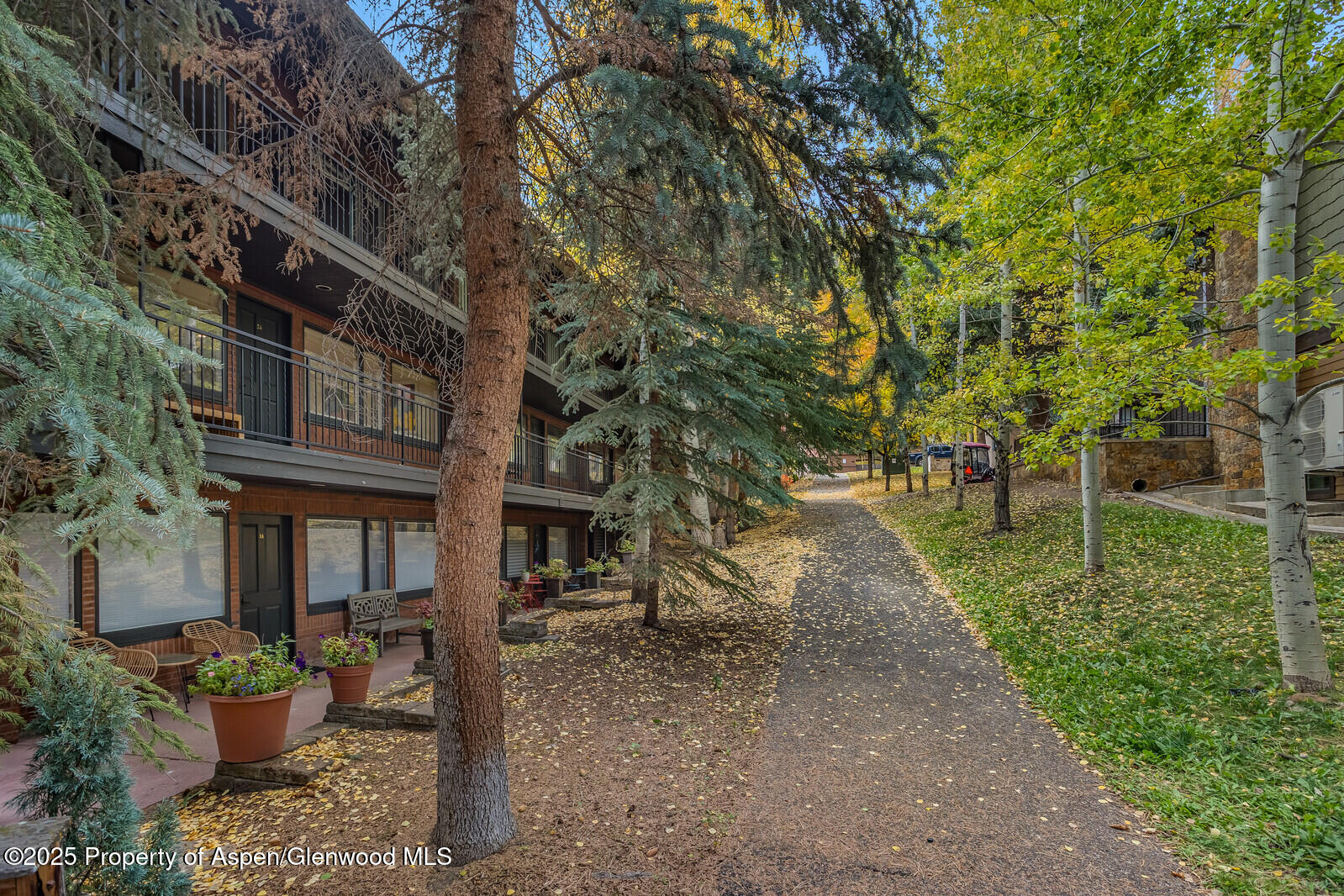 731 South Mill Street, Unit 3A Aspen, CO 81611 - Photo 45 of 49 43_731_Mill_Street_3A043_mls