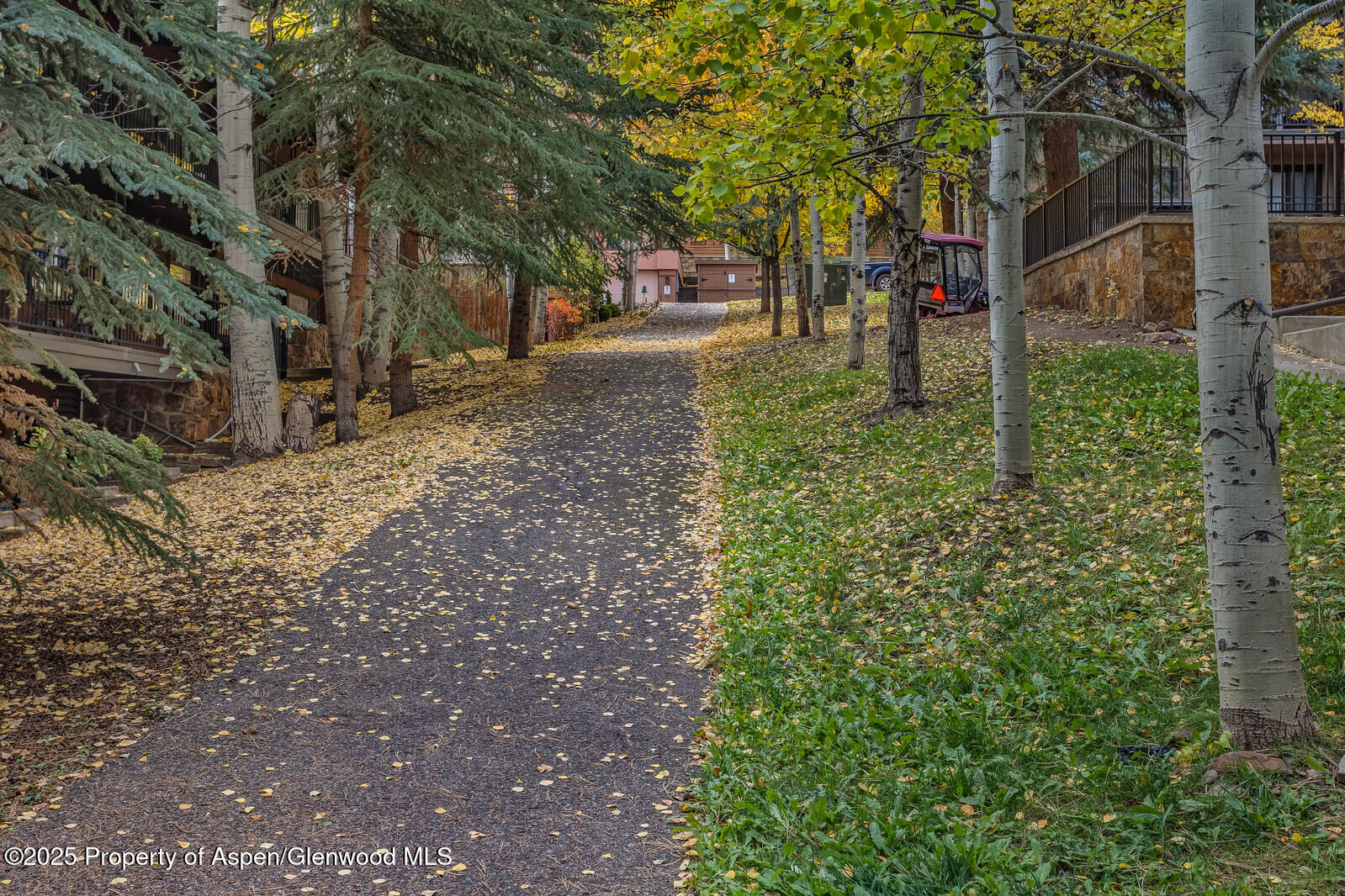 731 South Mill Street, Unit 3A Aspen, CO 81611 - Photo 46 of 49 45_731_Mill_Street_3A045_mls