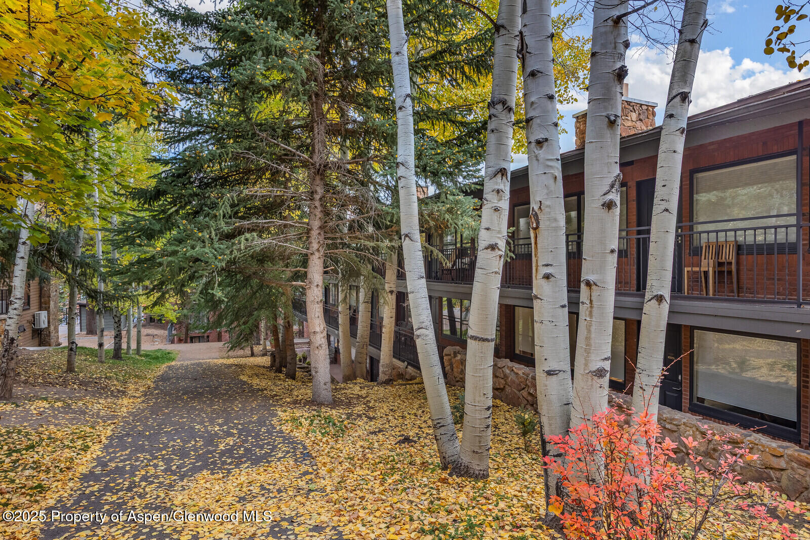 731 South Mill Street, Unit 3A Aspen, CO 81611 - Photo 47 of 49 48_731_Mill_Street_3A048_mls