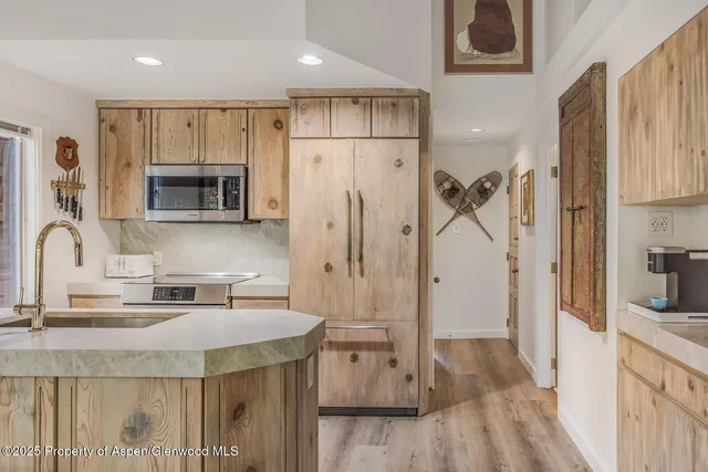 $20,000 | 731 South Mill Street, Unit 3A, Aspen, CO 81611