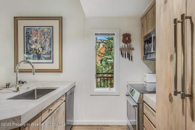 $20,000 | 731 South Mill Street, Unit 3A, Aspen, CO 81611