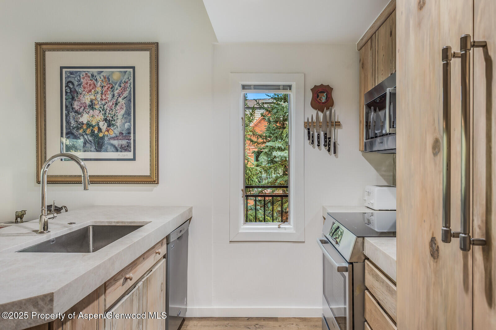 731 South Mill Street, Unit 3A Aspen, CO 81611 - Photo 6 of 49 15_731_Mill_Street_3A015_mls