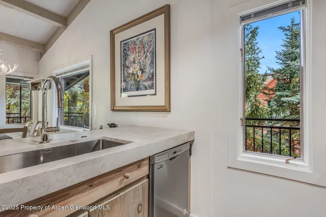 $20,000 | 731 South Mill Street, Unit 3A, Aspen, CO 81611