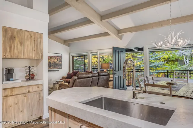 $20,000 | 731 South Mill Street, Unit 3A, Aspen, CO 81611