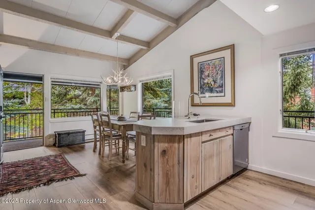 $20,000 | 731 South Mill Street, Unit 3A, Aspen, CO 81611