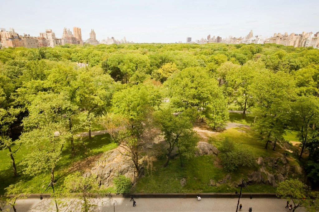 160 Central Park South, Unit 1005 Manhattan, NY 10019 - Photo 3 of 21 a view of a bunch of trees