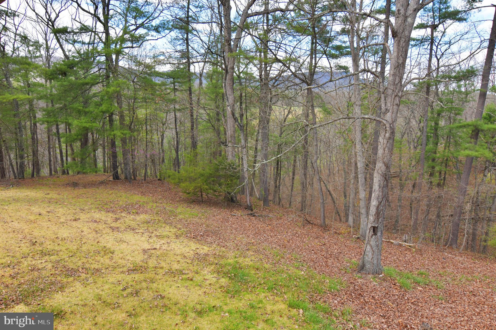 136 Ash Road Front Royal, VA 22630 - Photo 11 of 52 View from deck