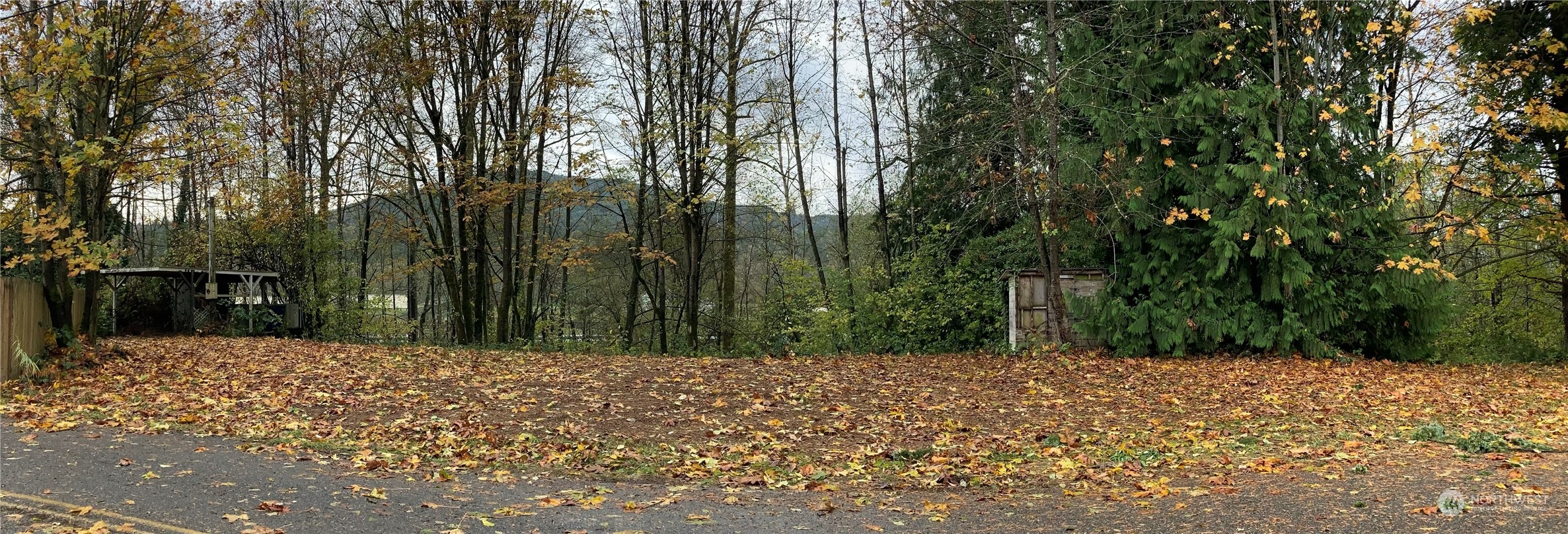 27430 Fern Bluff Road Monroe, WA 98272 - Photo 20 of 21 a view of backyard and trees