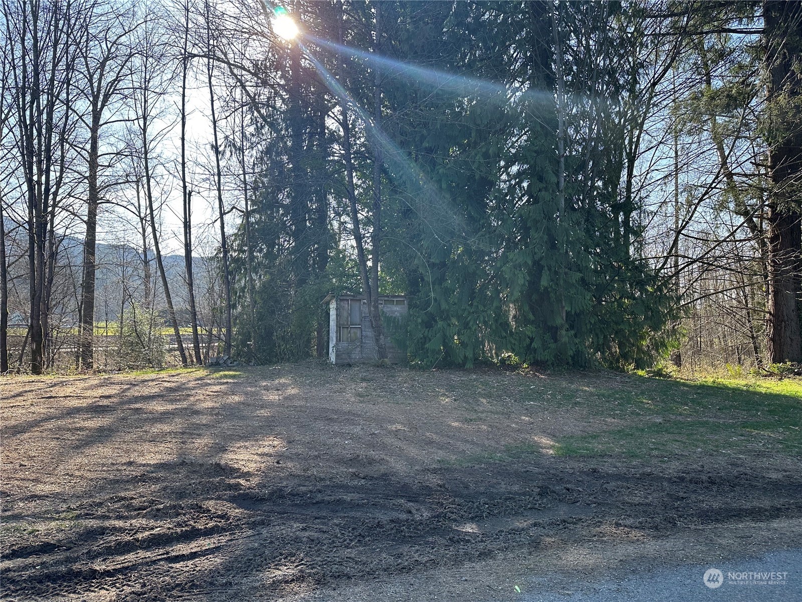 27430 Fern Bluff Road Monroe, WA 98272 - Photo 21 of 21 a view of a yard with trees