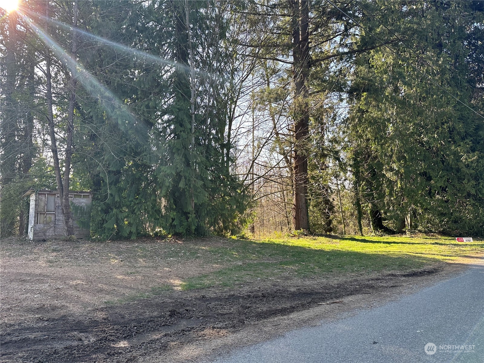 27430 Fern Bluff Road Monroe, WA 98272 - Photo 6 of 21 a view of a yard with basketball court