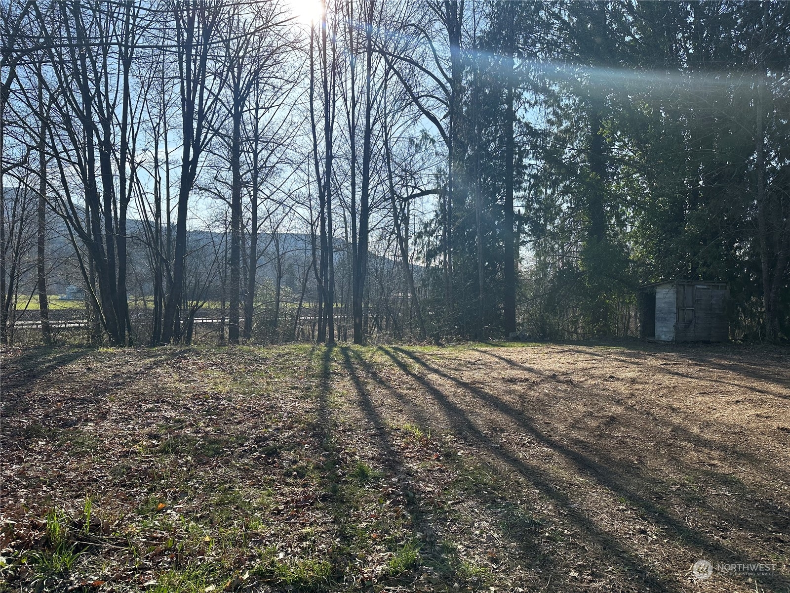27430 Fern Bluff Road Monroe, WA 98272 - Photo 7 of 21 a view of a backyard with large trees