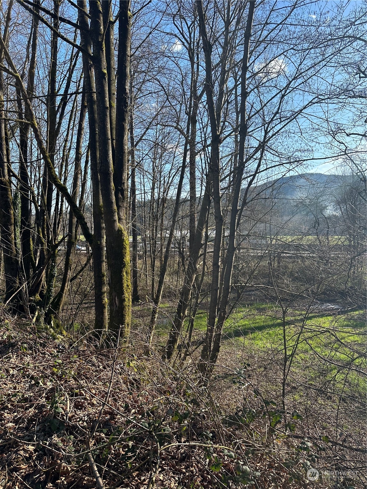 27430 Fern Bluff Road Monroe, WA 98272 - Photo 9 of 21 a view of a backyard