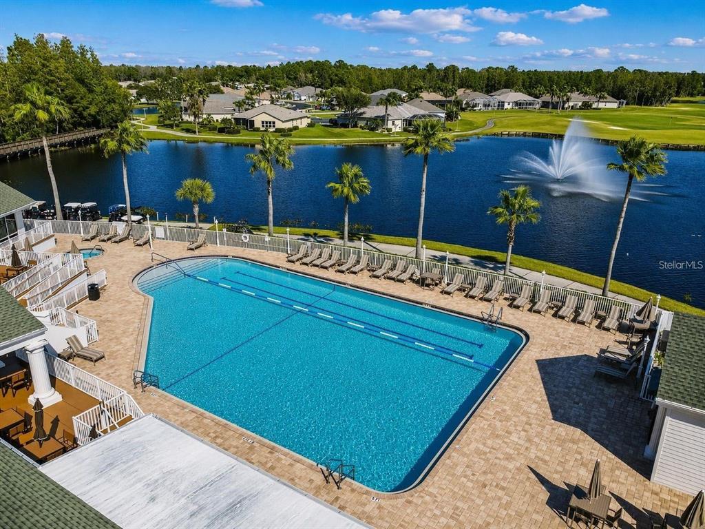 1444 Canberley Court Trinity, FL 34655 - Photo 37 of 52