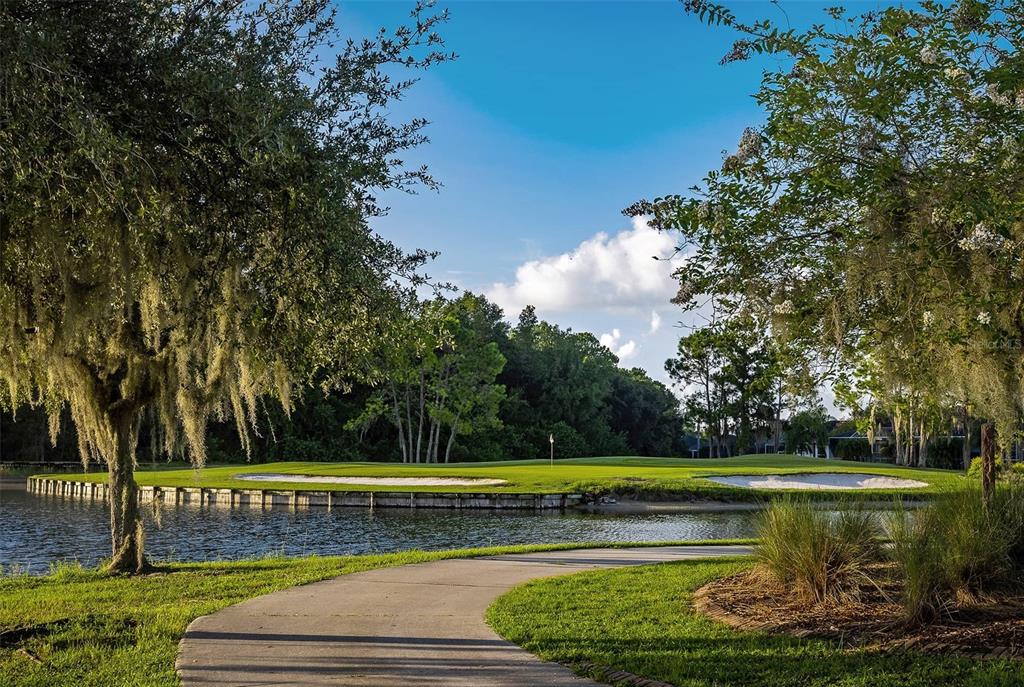 1444 Canberley Court Trinity, FL 34655 - Photo 47 of 52