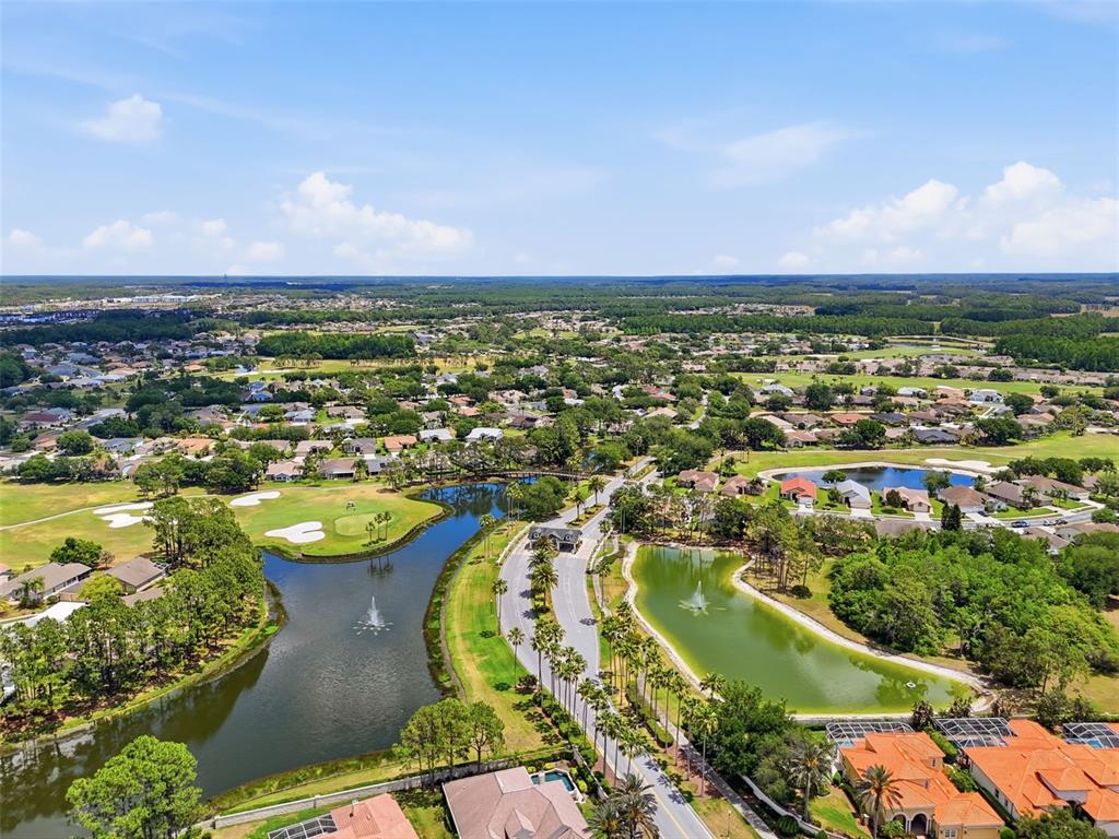 1444 Canberley Court Trinity, FL 34655 - Photo 48 of 52