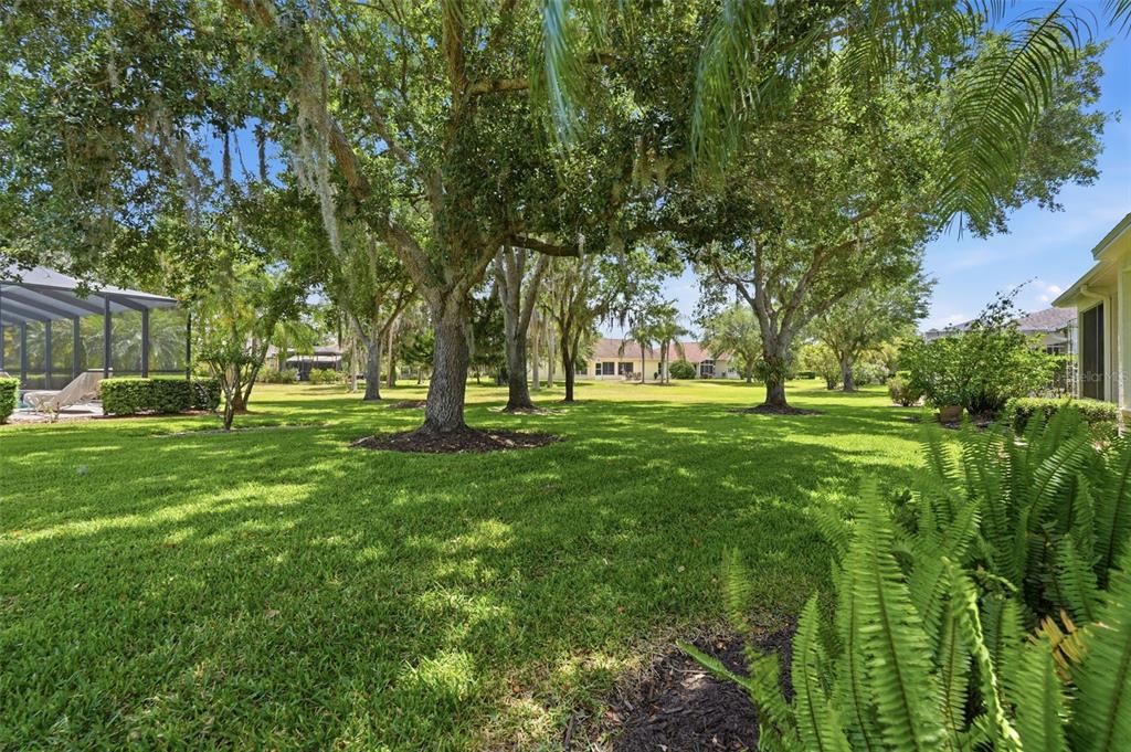 1444 Canberley Court Trinity, FL 34655 - Photo 49 of 52