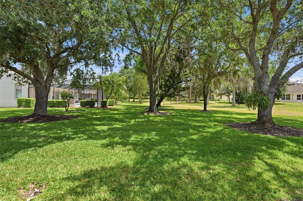1444 Canberley Court Trinity, FL 34655 - Photo 6 of 52