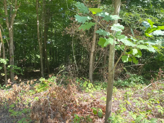 $159,900 | 2184-2266 South 150000 E Road, Pembroke Township, IL 60958