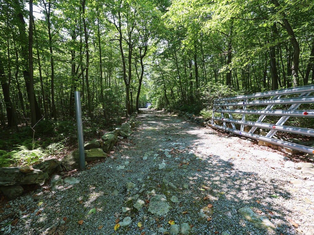 21089 Laurel Mountain Road Three Springs, PA 17264 - Photo 3 of 35 Gallery Image 3