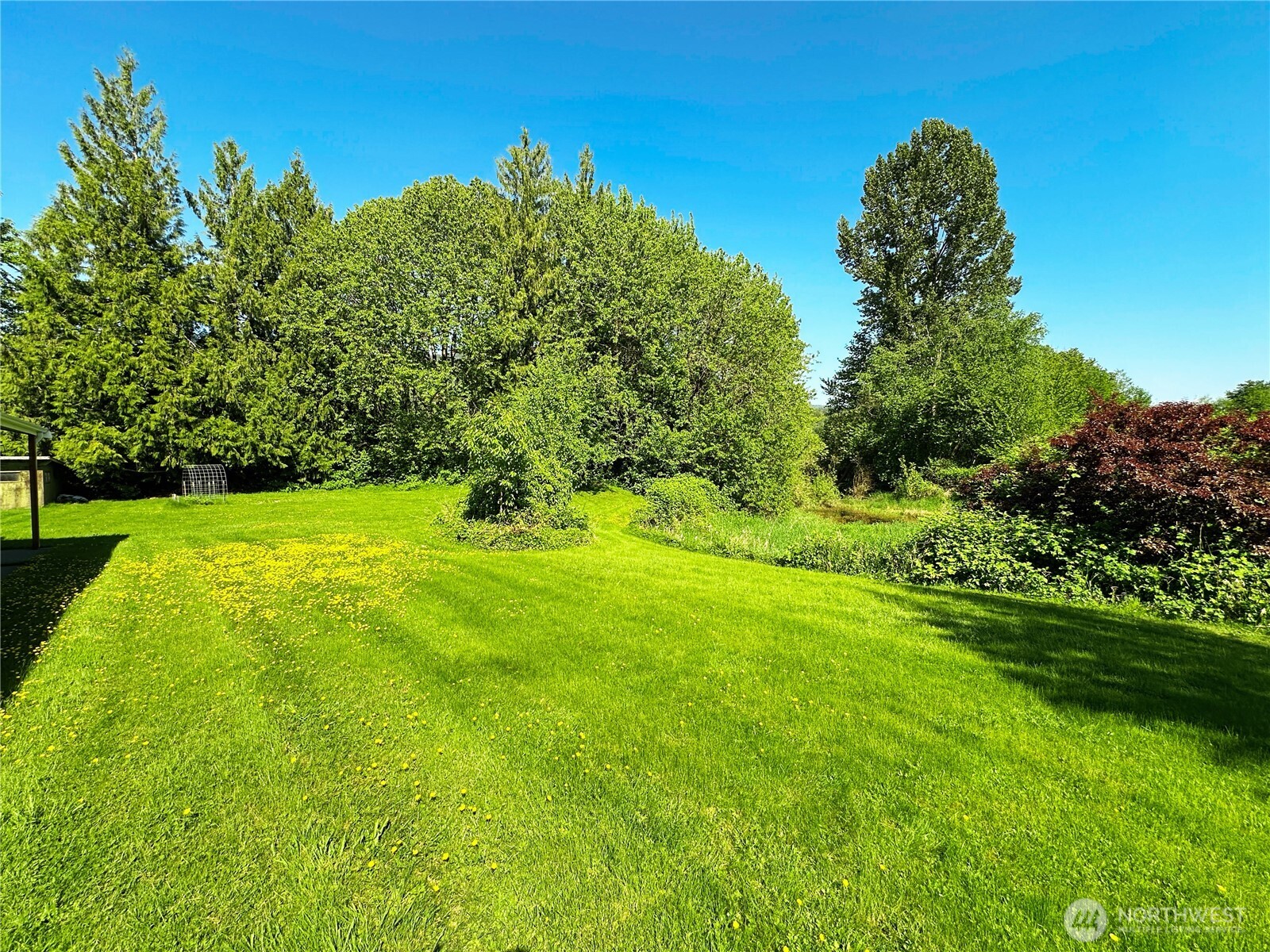3808 Hatley Road Everson, WA 98247 - Photo 14 of 18 Gallery Image 14