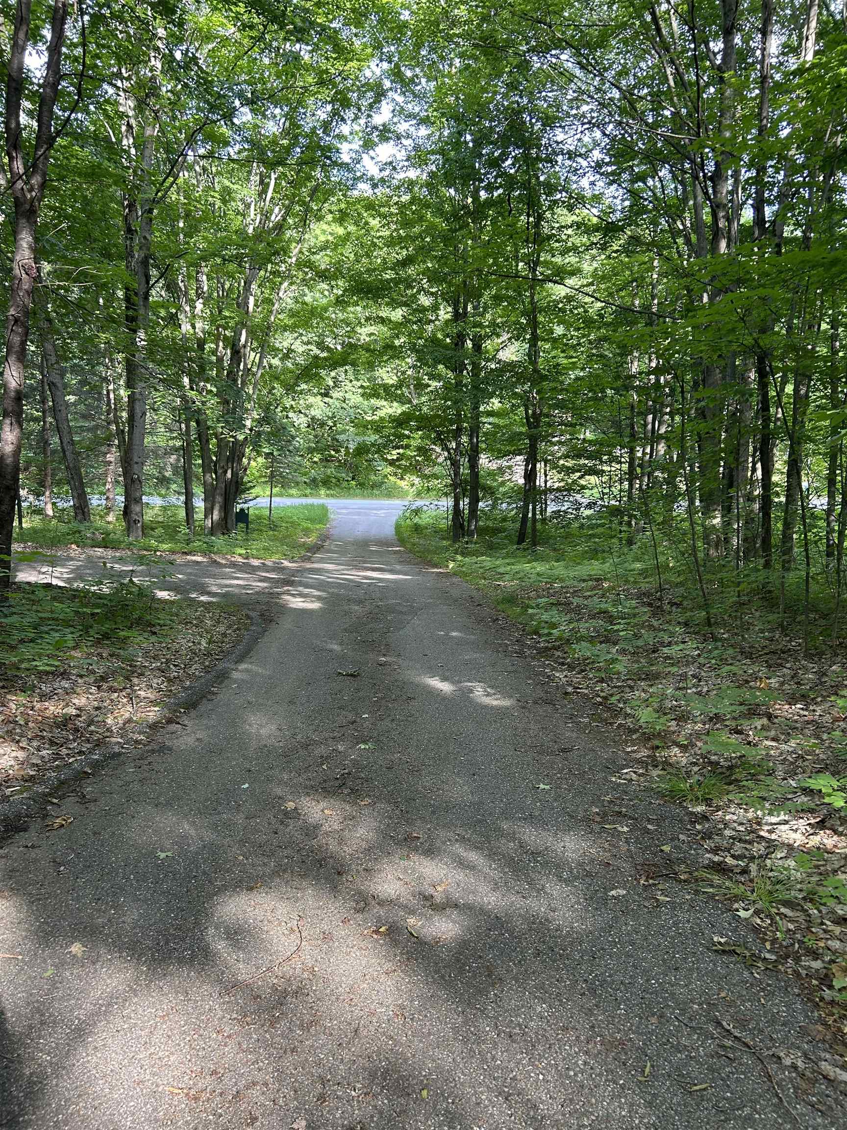 V/l Hansel Strause Road East Bellaire, MI 49615 - Photo 5 of 6 Gallery Image 5