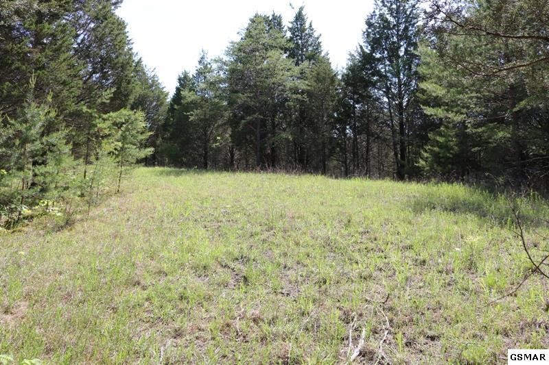 0 Lot 35 Buck Horn Road Sevierville, TN 37876 - Photo 29 of 30