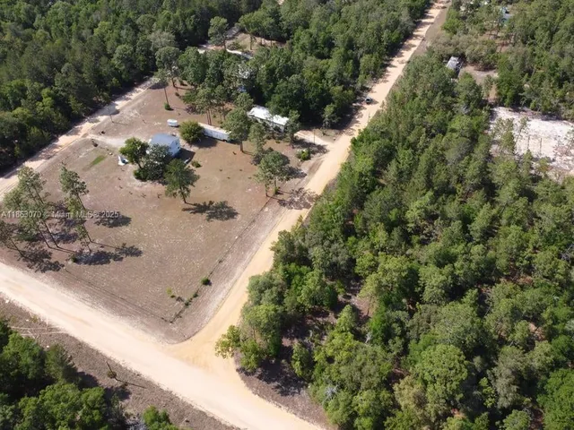 a view of a forest with a houses