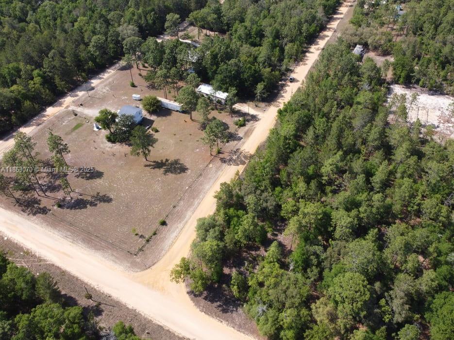 112 Grenock Street Interlachen, FL 32148 - Photo 5 of 7 an aerial view of a house with a yard