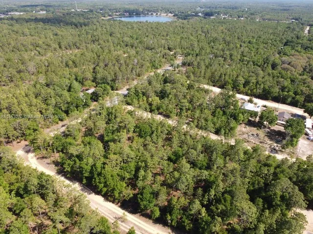 an aerial view of lot of trees