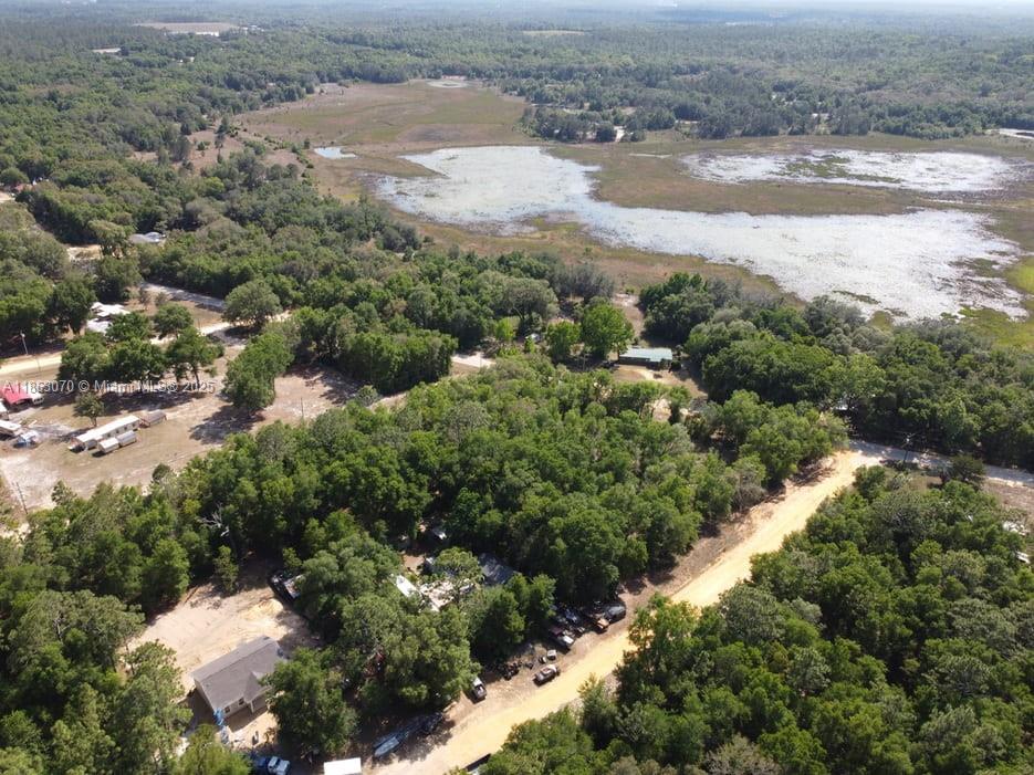 112 Grenock Street Interlachen, FL 32148 - Photo 7 of 7 an aerial view of lot of trees