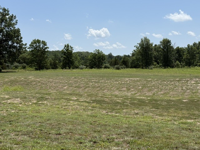 2124 Yellow Banks Road Royalton, IL 62983 - Photo 1 of 1 Gallery Image 1
