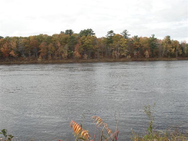 Lot B Lot B Bradley Road Eddington, ME 04428 - Photo 1 of 4 Photo