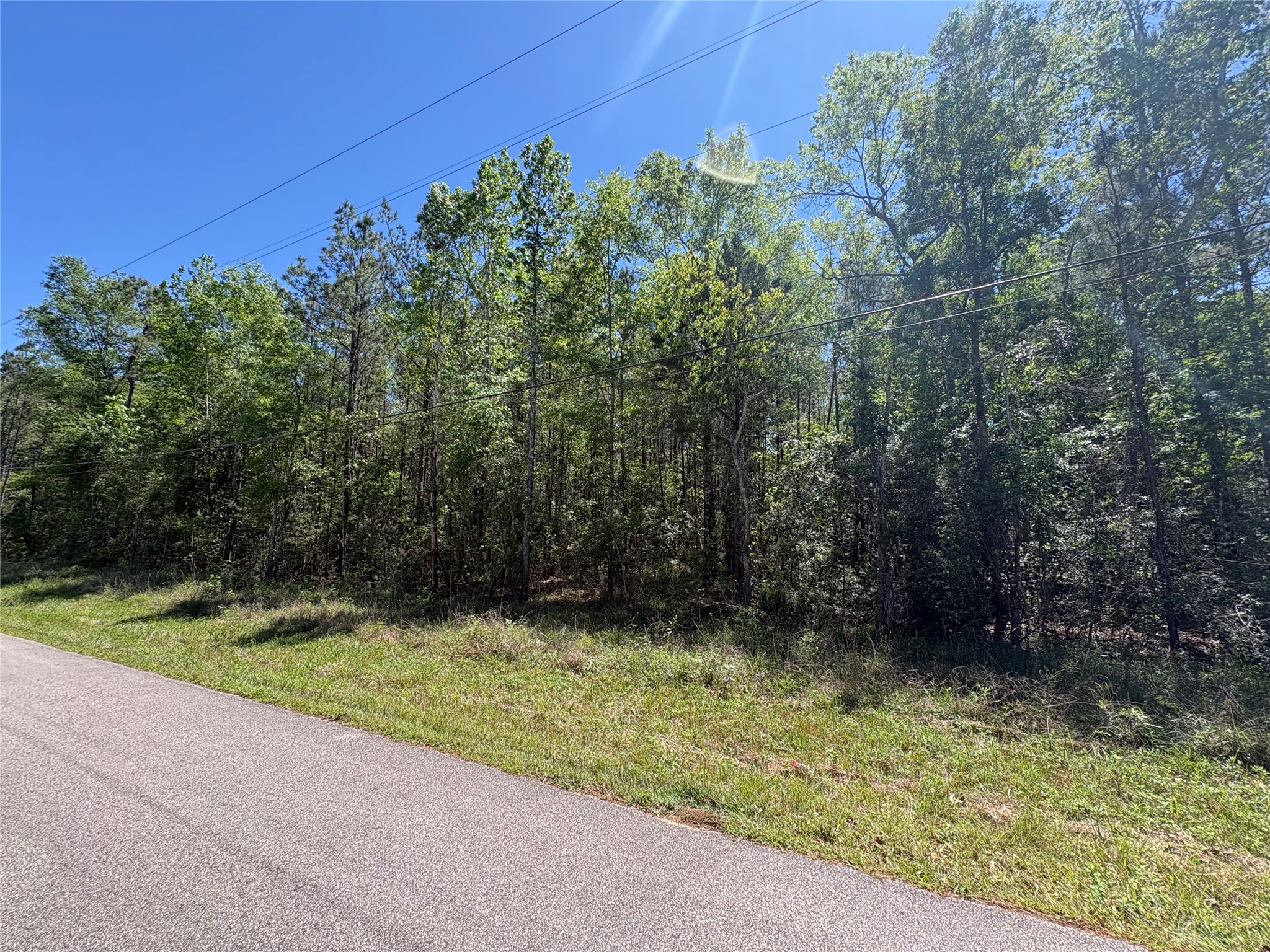 0 East Williford Road Kountze, TX 77625 - Photo 2 of 5 a view of backyard with green space
