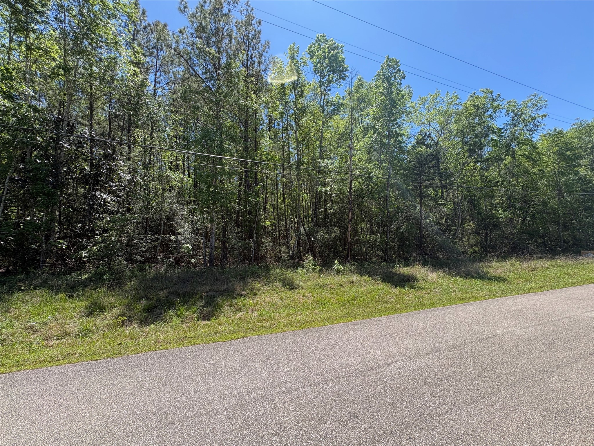 0 East Williford Road Kountze, TX 77625 - Photo 4 of 5 a view of outdoor space and yard