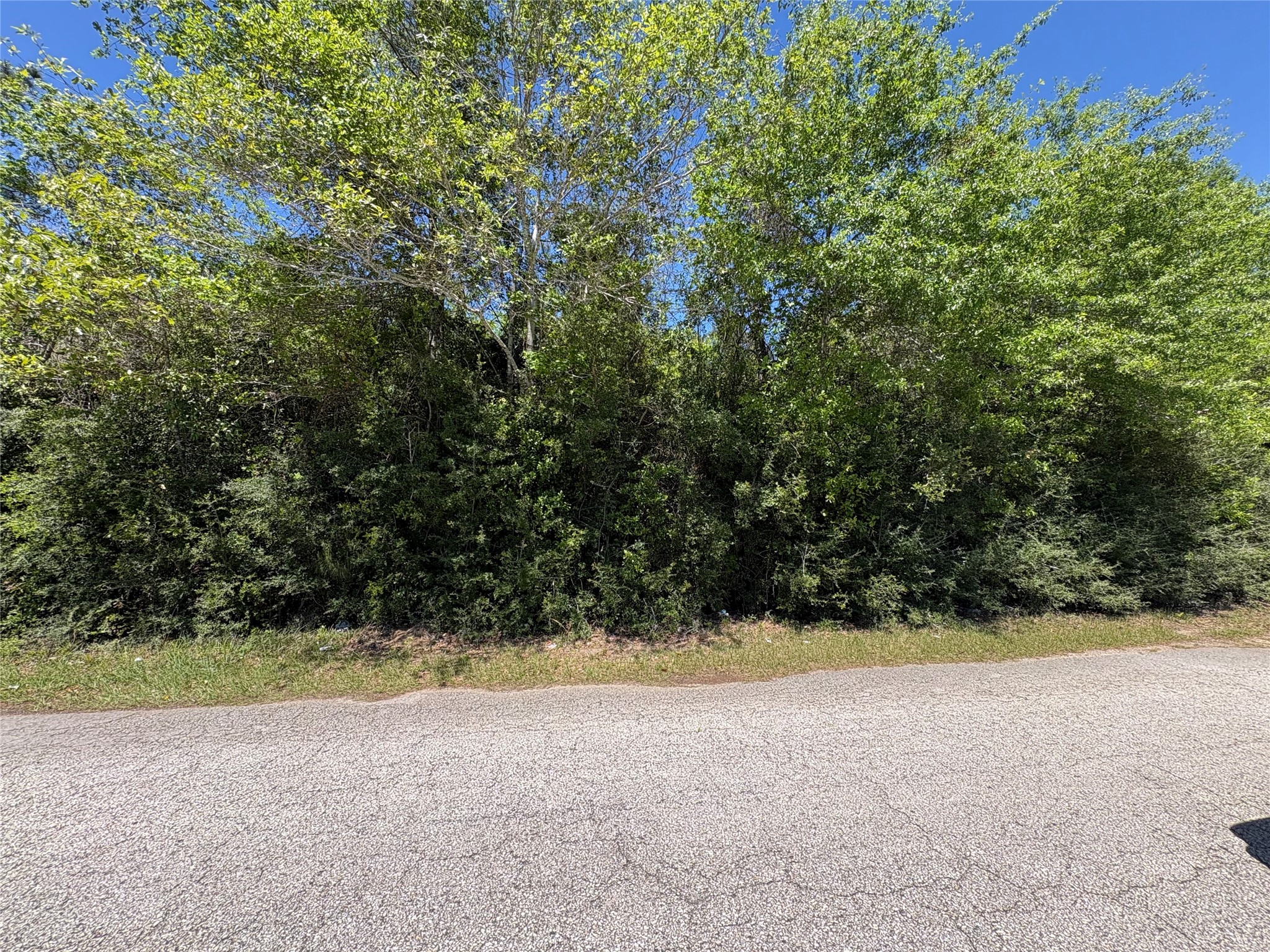 0 East Williford Road Kountze, TX 77625 - Photo 5 of 5 a view of an outdoor space and a yard
