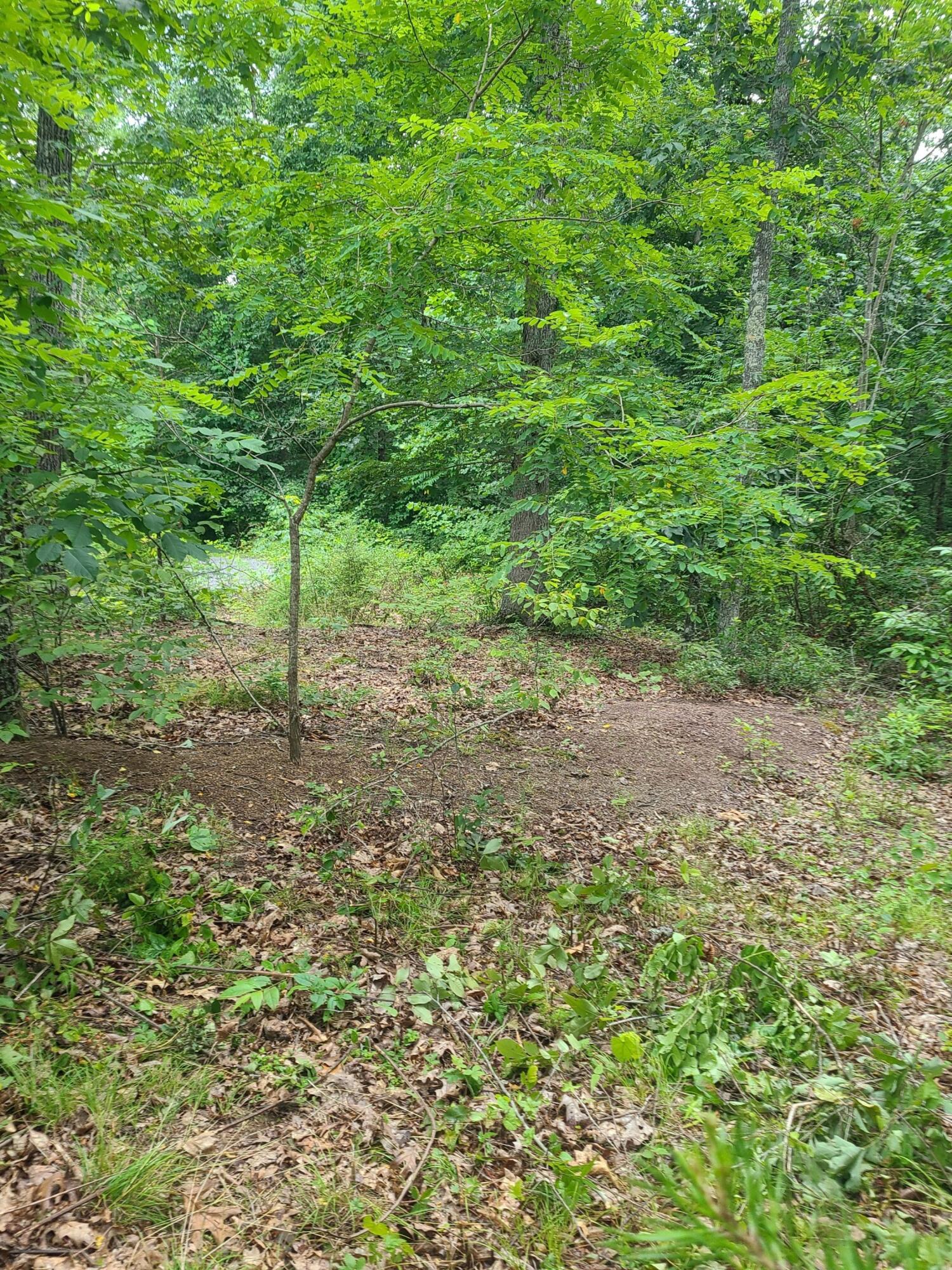 3 Falls Pointe Road Alderson, WV 24910 - Photo 7 of 8 Gallery Image 7