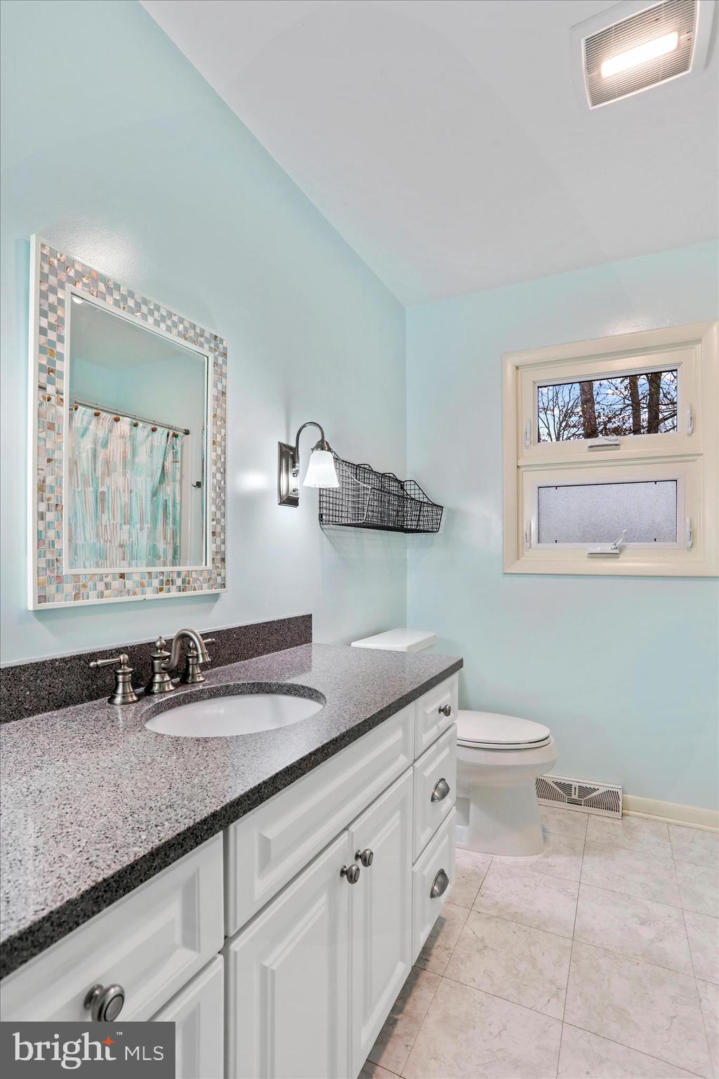 19734 Longmeadow Road Hagerstown, MD 21742 - Photo 18 of 45 a bathroom with a granite countertop sink a toilet and a mirror