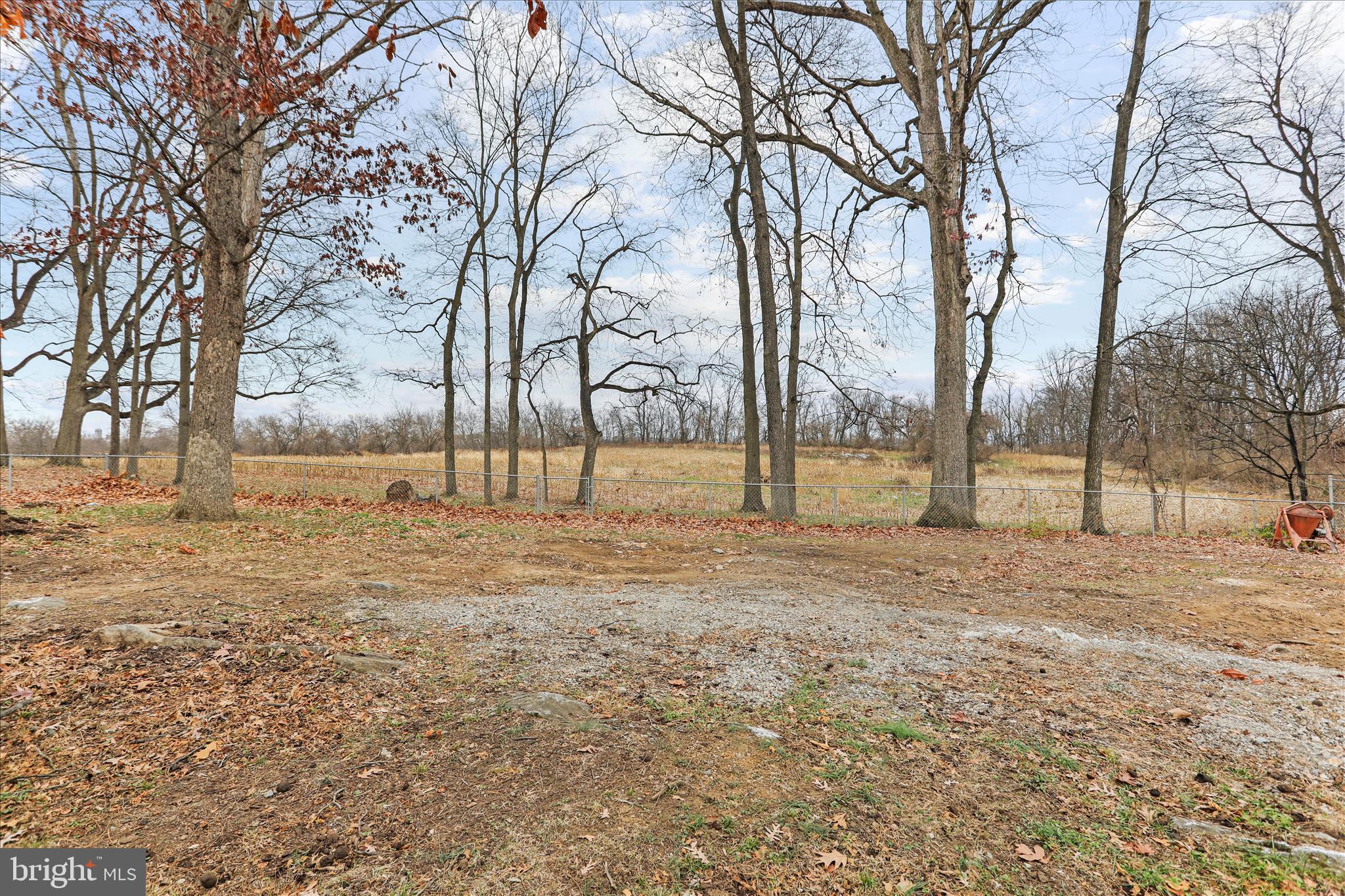 19734 Longmeadow Road Hagerstown, MD 21742 - Photo 42 of 45 a view of yard with trees