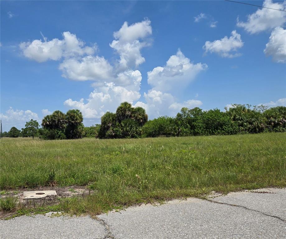 12310 Quail Road Port Charlotte, FL 33981 - Photo 2 of 6 Gallery Image 2