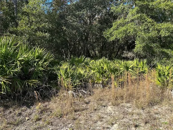 $37,750 | 632 North Dunkenfield Avenue, Crystal River, FL 34429