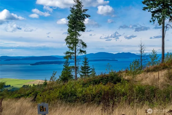 a view of a lake in middle of forest