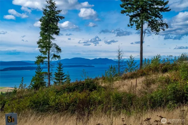 a view of a yard in a field of a house